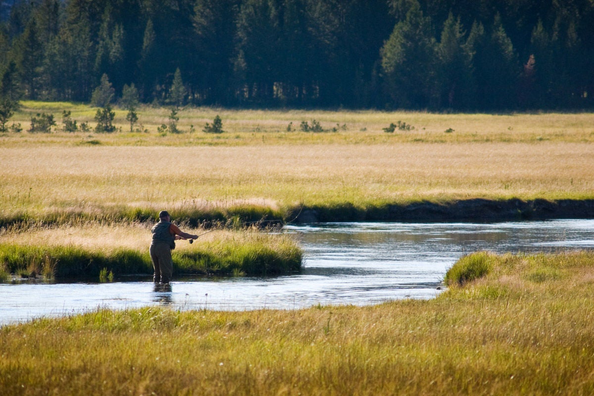 A fly fisherman on the yellowstone river in late afternoon light.