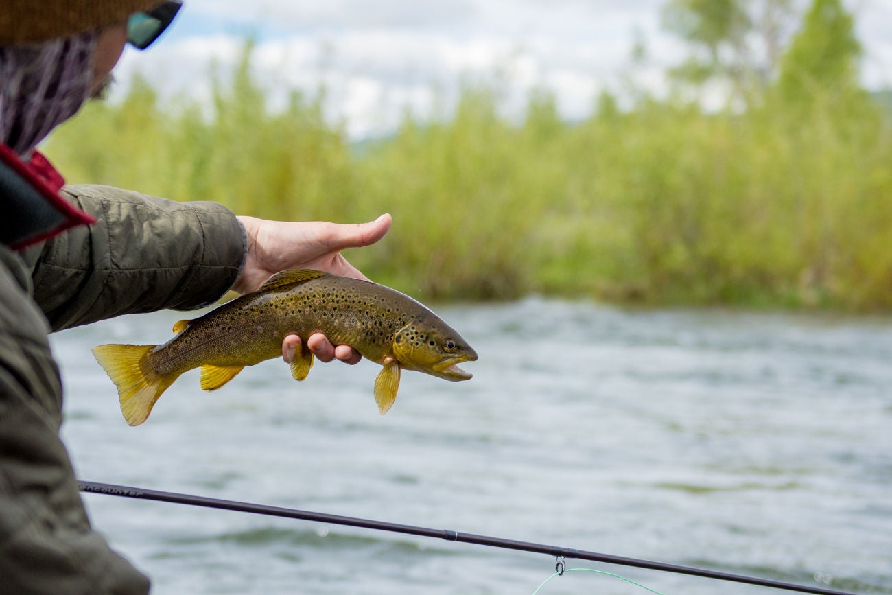 Fishin'