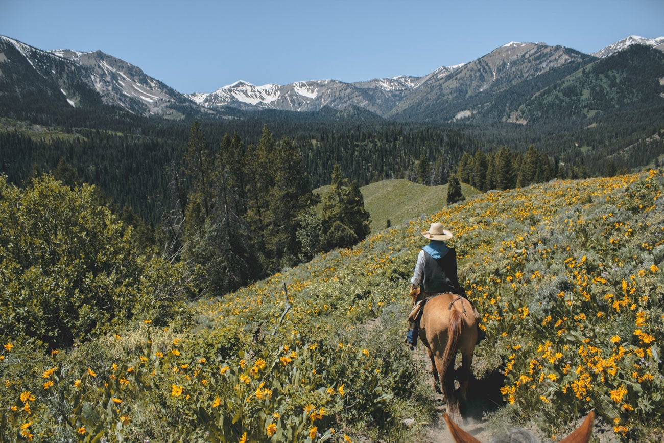1133641501 Horseback riding through the wildflowers in the Grand Teton Moutain range.