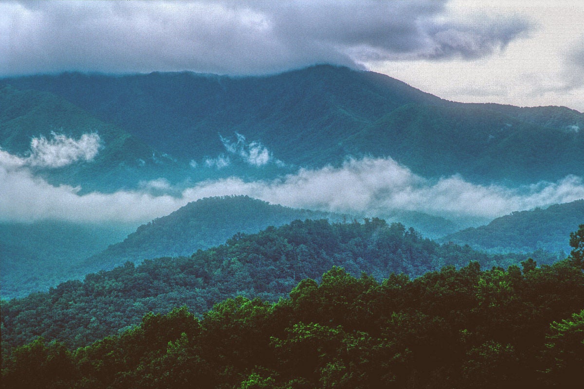 DISCOVER BREATHTAKING VISTAS, HIKE SCENIC TRAILS, AND WITNESS WILDLIFE IN THE GREAT SMOKY MOUNTAINS. [PHOTO CREDIT: MICK HAUPT]