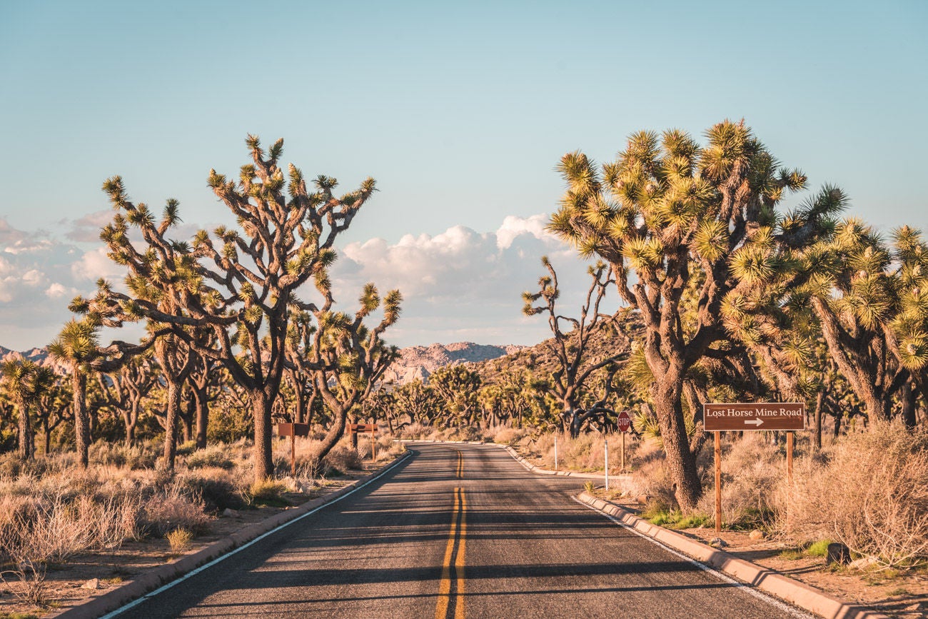 1284241417 Road in the desert, in Joshua Tree National Park, California
