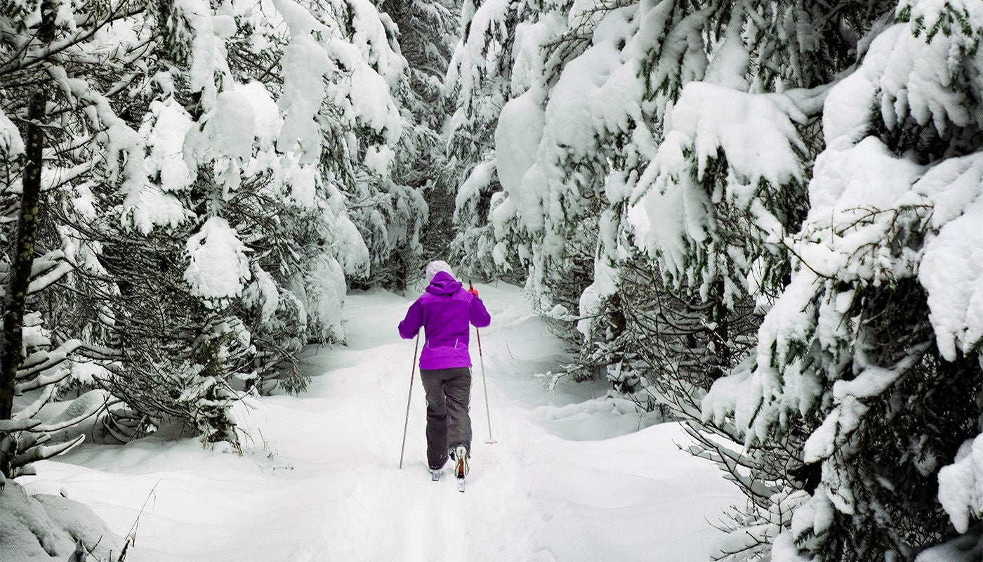 person skiing though trees