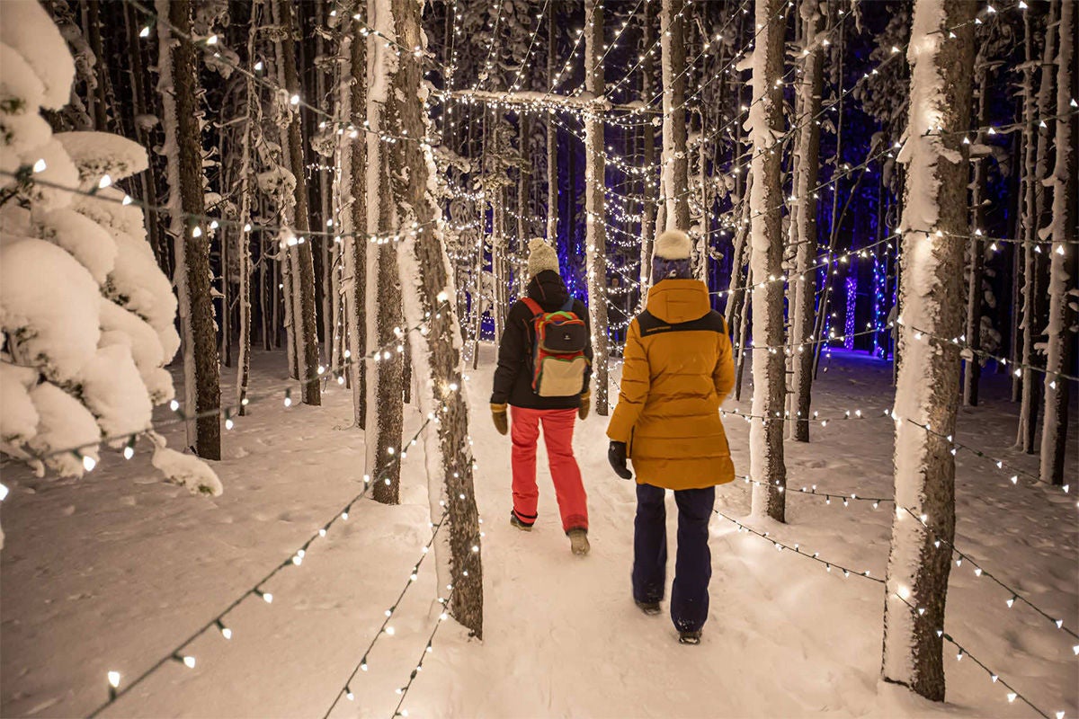 Experience the magic of the enchanted forest.