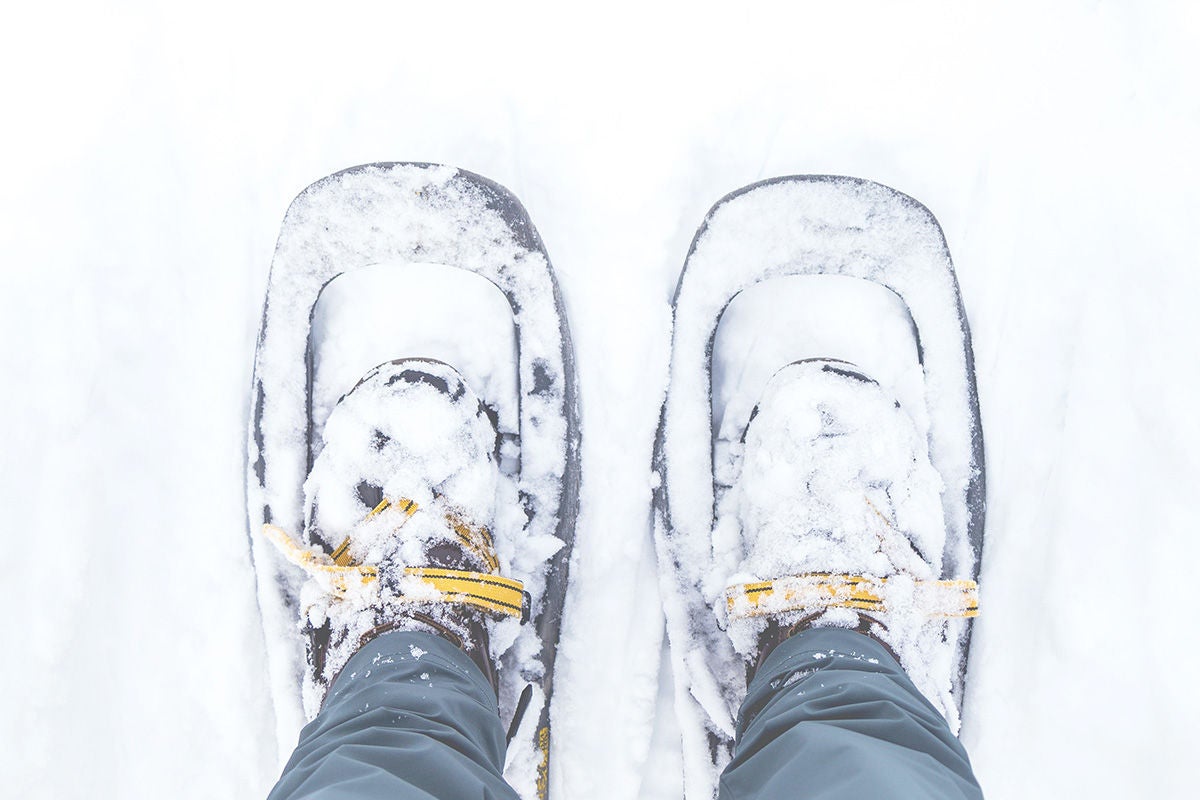 Explore over 50 miles of scenic trails, perfect for snowshoeing.