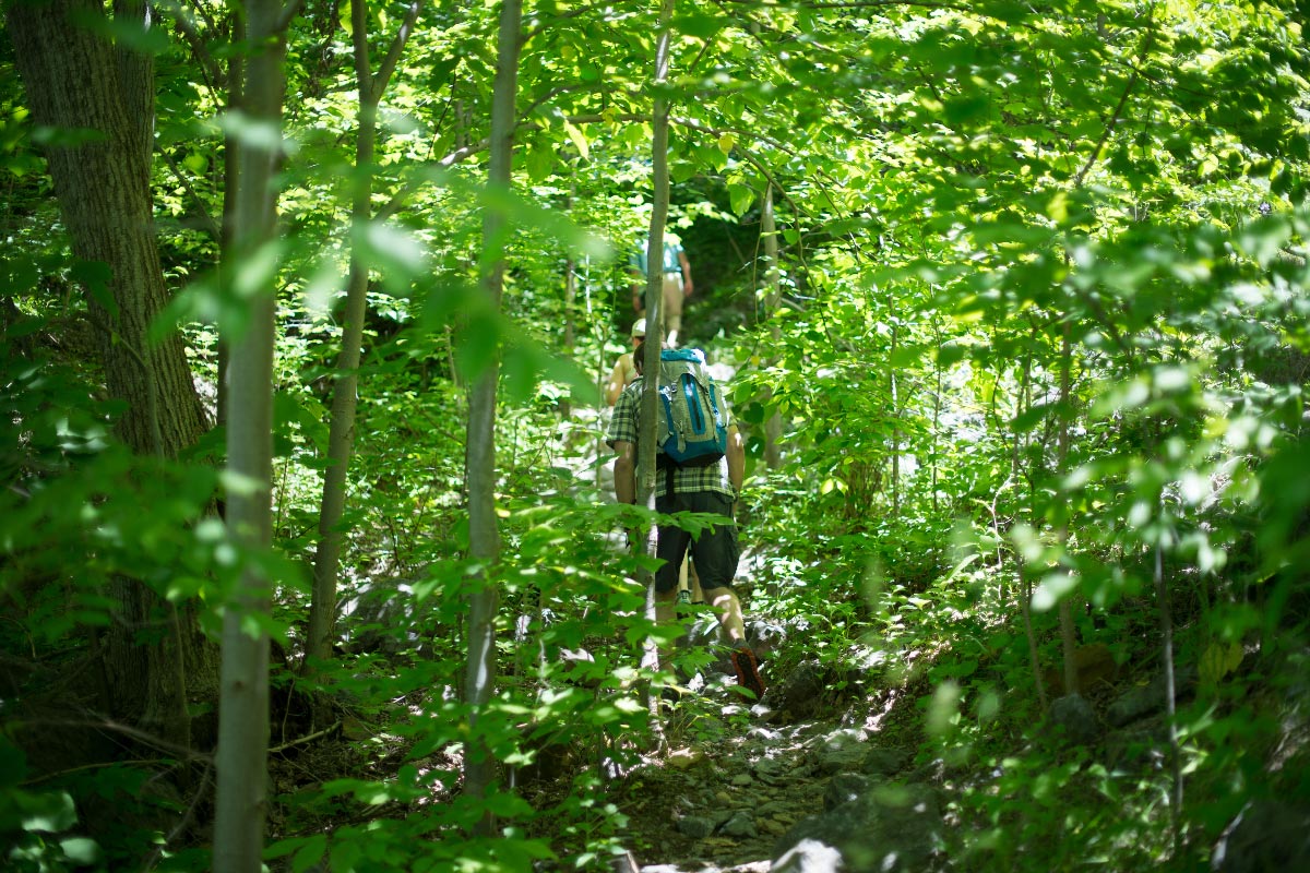 WITH ITS STUNNING VIEWS AND ACCESSIBLE TERRAIN, ENJOY A FAMILY-FRIENDLY HIKE THROUGH JACKSON RIVER SCENIC TRAIL. [PHOTO CREDIT: BRENNAN WESLEY]