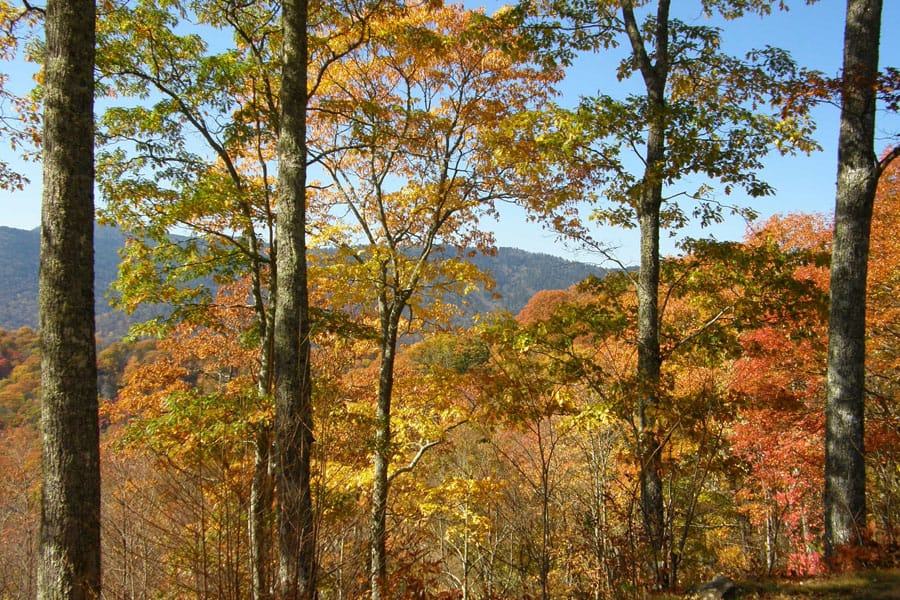 Smokies Retreat Fall