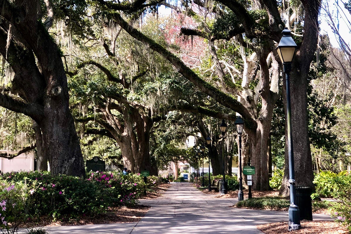 Venture from Tybee Island to Savannah for an enjoyable day of local parks and history.