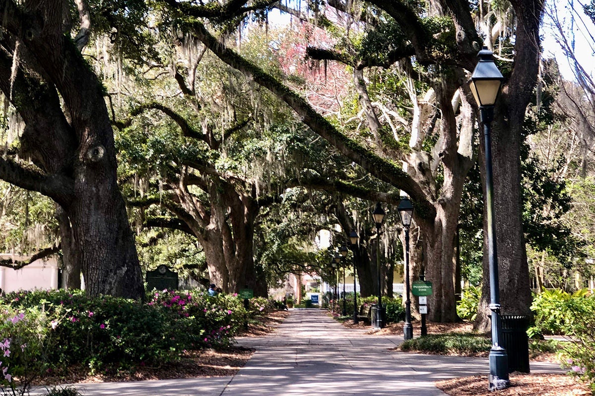 Venture from Tybee Island to Savannah for an enjoyable day of local parks and history. Venture from Tybee Island to Savannah for an enjoyable day of local parks and history.