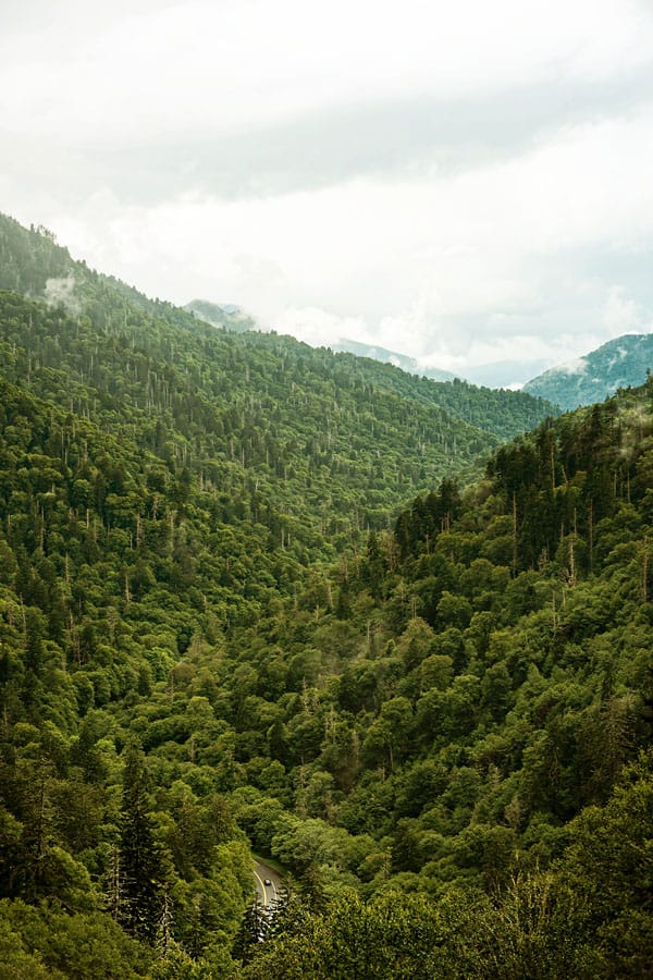 Great Smoky Mountain National Park View