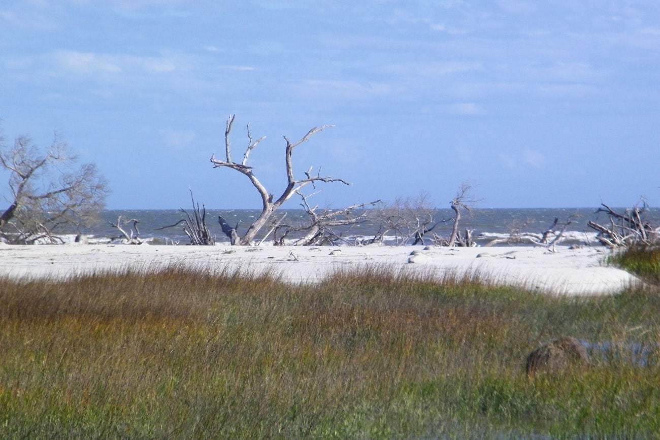 BONEYARD BEACH