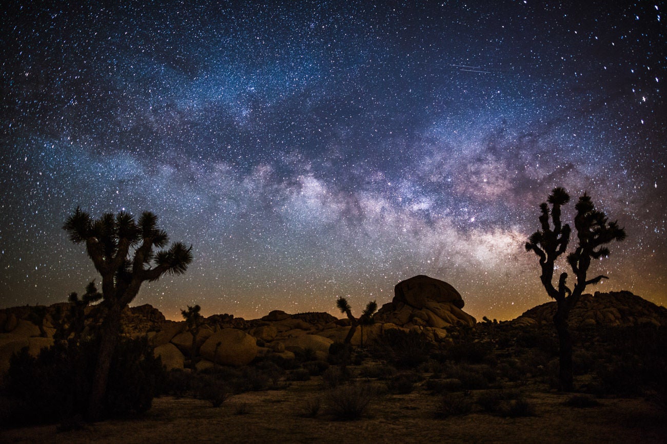 913059360 Desert landscape at night with Milky Way. Joshua tree national park in California, USA.