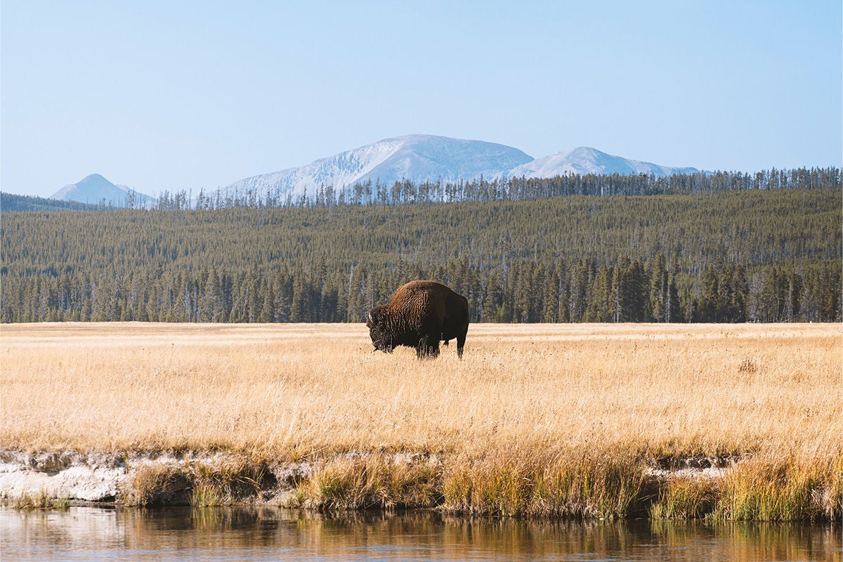 BIG SKY IS CONVENIENTLY LOCATED 50 MILES NORTH OF YELLOWSTONE NATIONAL PARK.