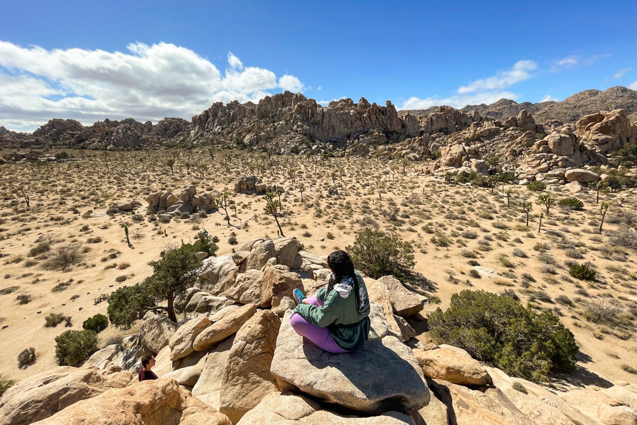 VIEW JOSHUA TREE FROM ABOVE