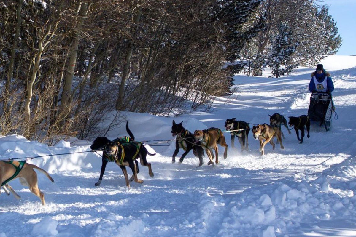 EXPERIENCE THE THRILL OF DOG SLEDDING WHILE SURROUNDED BY SNOWCAPPED MOUNTAINS.