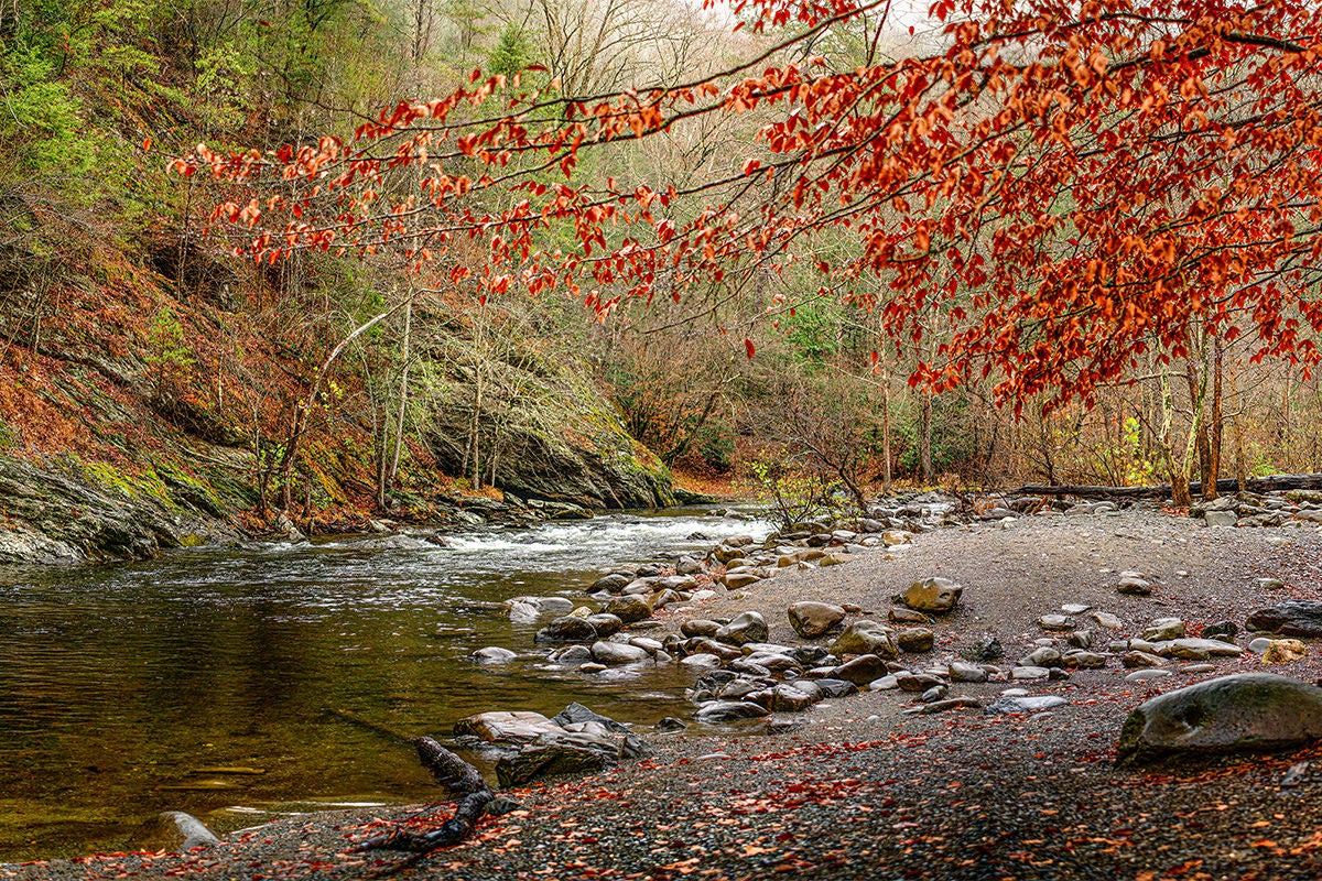 BEST KNOWN FOR THE MAJESTIC STRETCH OF MOUNTAIN PEAKS THAT SPAN 36 MILES, THE SMOKIES COVER TWO STATES. BEST KNOWN FOR THE MAJESTIC STRETCH OF MOUNTAIN PEAKS THAT SPAN 36 MILES, THE SMOKIES COVER TWO STATES.