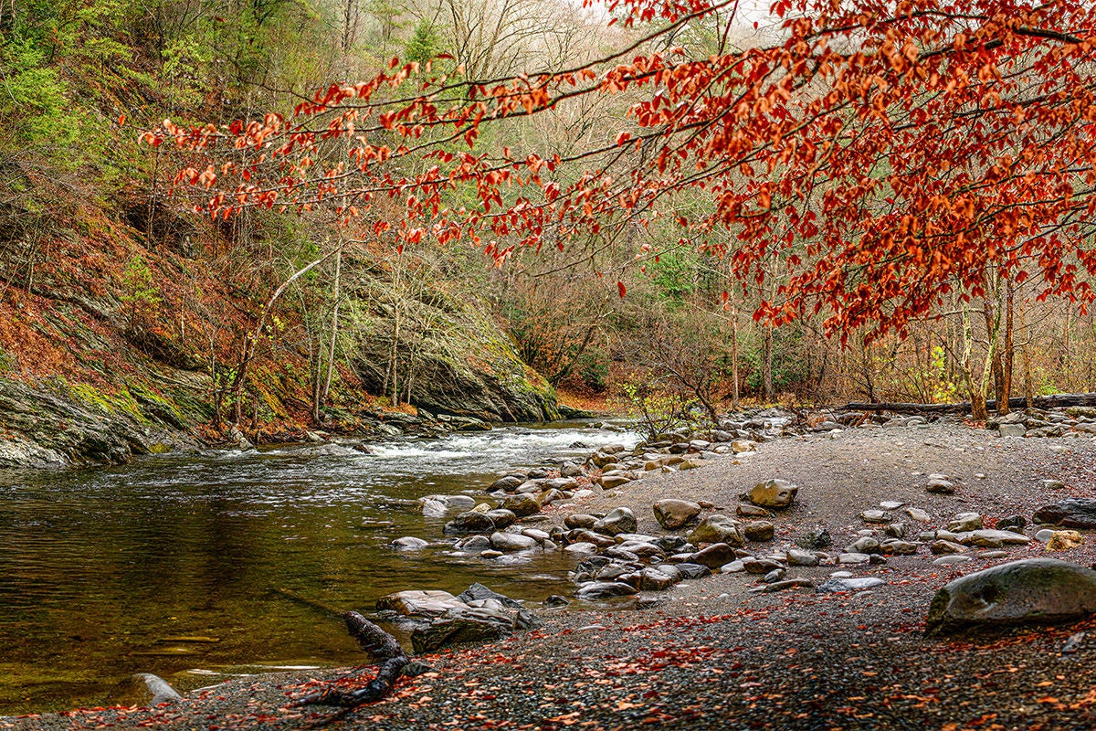 BEST KNOWN FOR THE MAJESTIC STRETCH OF MOUNTAIN PEAKS THAT SPAN 36 MILES, THE SMOKIES COVER TWO STATES.