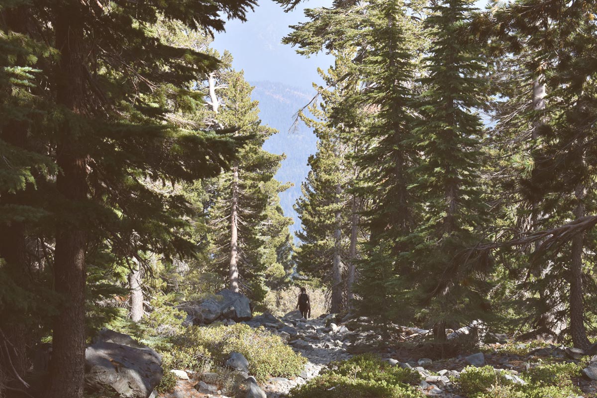 DISCOVER THE BREATHTAKING BEAUTY OF HIKING IN LAKE TAHOE! [PHOTO CREDIT: SHIMONENKO]