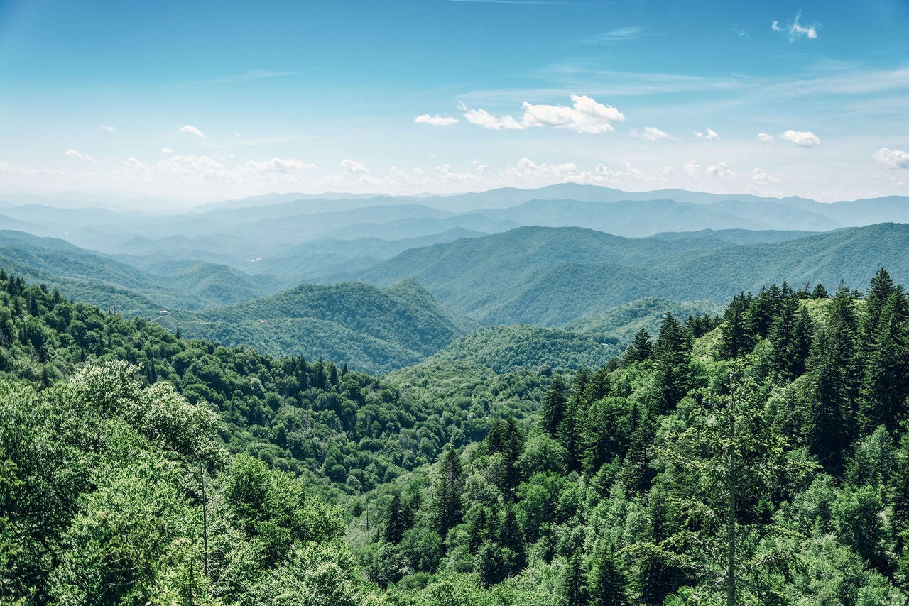 A view over the tops of trees to the Smoky Mountain range in Tennessee, USA.