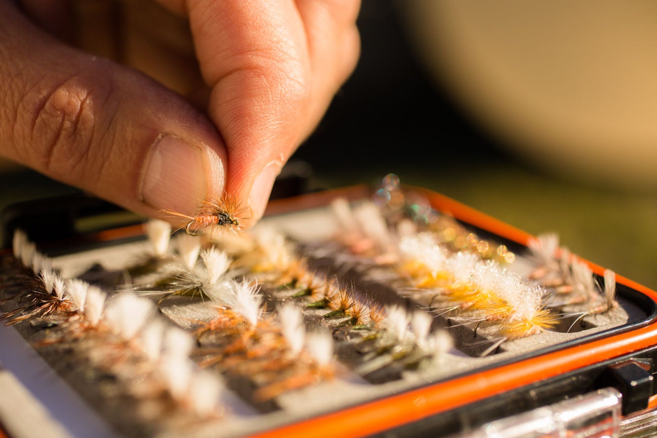 Fishing tackle. Man selecting fly fishing lure from his collection in box.  Selective focus.