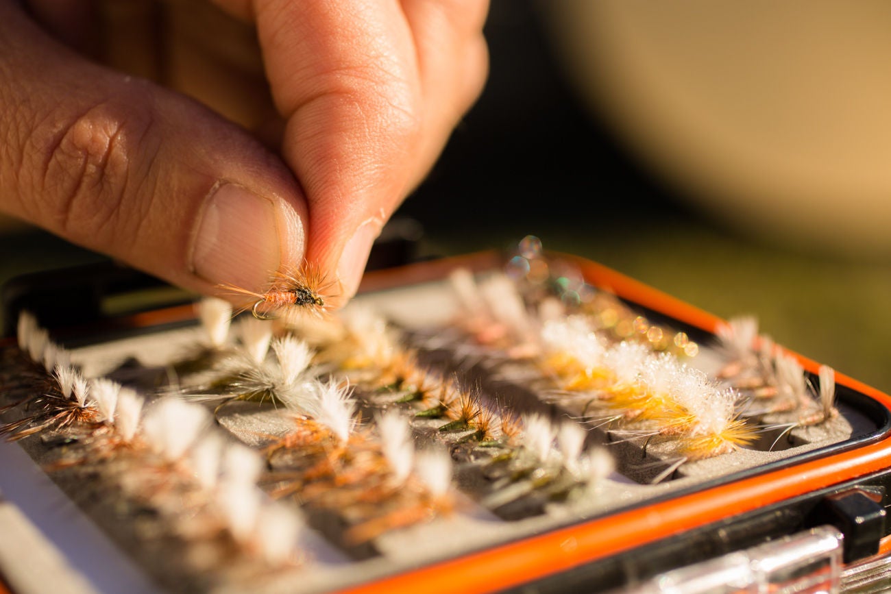 SPECIFIC FLIES ARE GREAT FOR CATCHING SPECIFIC FISH. Fishing tackle. Man selecting fly fishing lure from his collection in box. Selective focus.