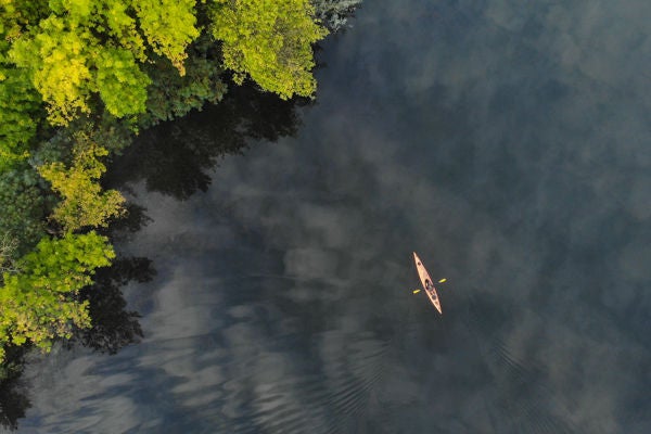 Top aerial view of the river along which a small orange kayak floats. Green trees grow on the shore. Ecosystem Ukraine, Europe