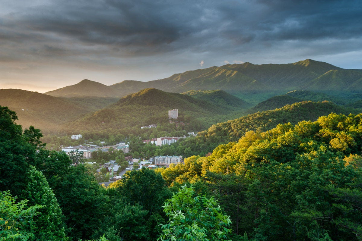 SEVERAL "THE HUNGER GAMES" SCENES WERE FILMED IN THE SMOKIES.