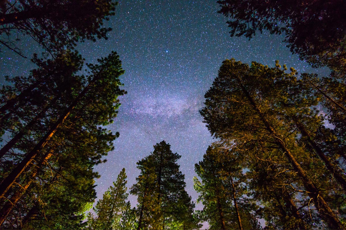 IMMERSE YOURSELF IN THE BEAUTY OF THE NIGHT SKY AND COZY UP AS YOU WITNESS THE TWINKLING STARS IN ALL THEIR GLORY. IMMERSE YOURSELF IN THE BEAUTY OF THE NIGHT SKY AND COZY UP AS YOU WITNESS THE TWINKLING STARS IN ALL THEIR GLORY.