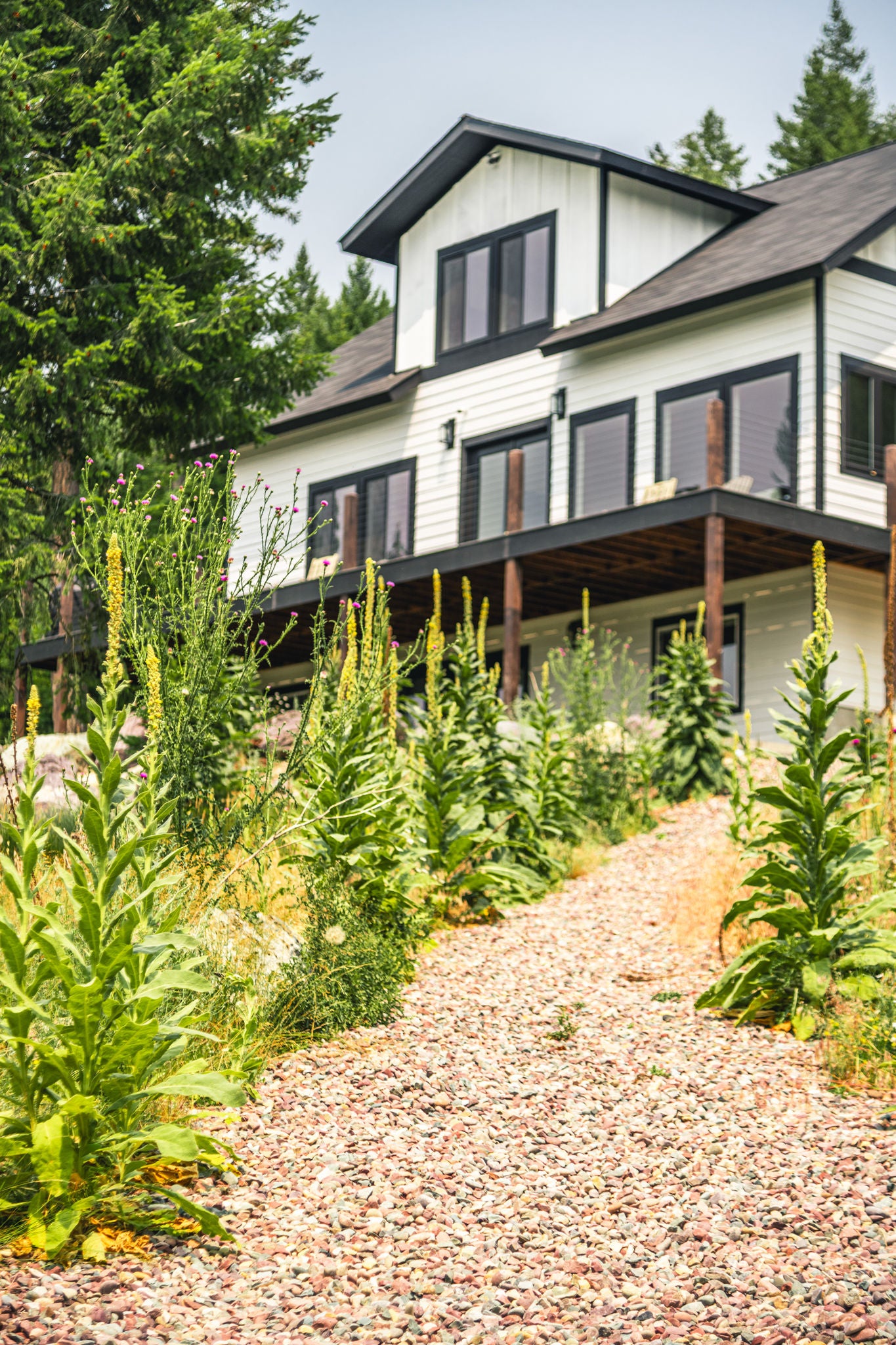 Home on hillside in whitefish montana