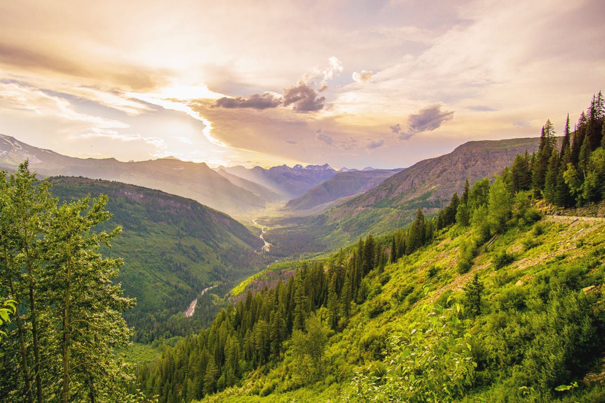 SURROUND YOURSELF WITH THE BREATHTAKING VIEWS OF WHITEFISH, MT.