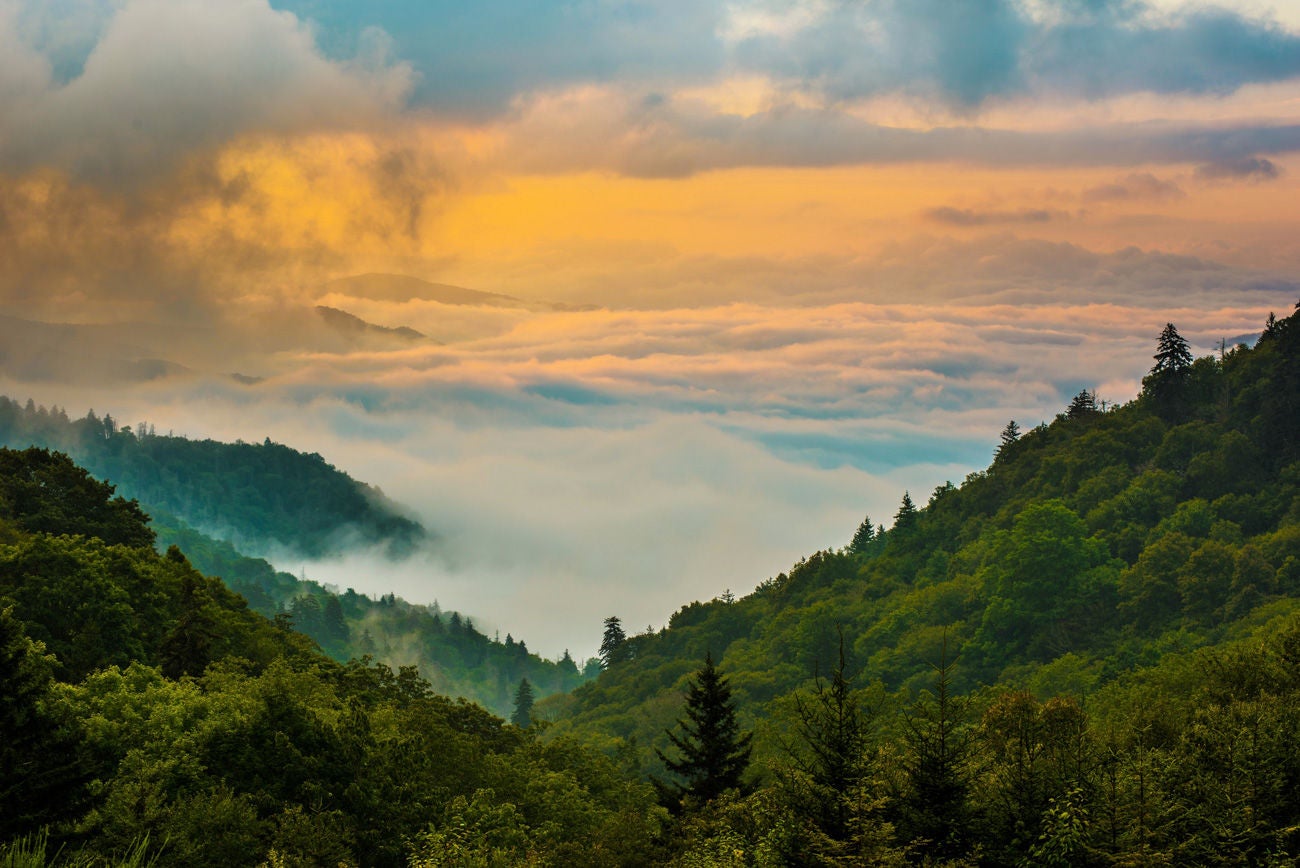 Foggy Morning in Great Smoky Mountains National Park at sunrise