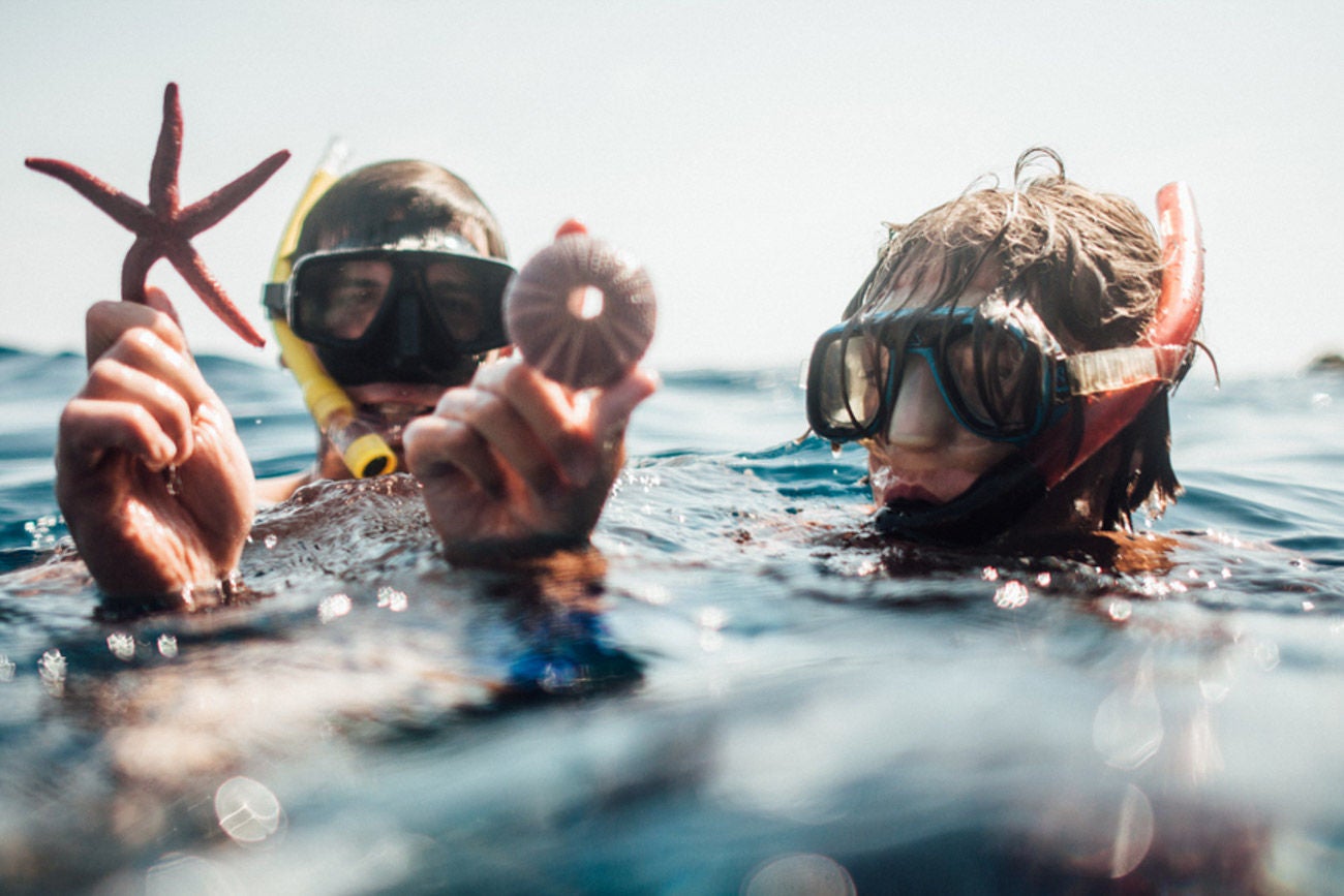 Divers Showing Off Their Catch Divers showing off their catch, fish and sea â â urchin