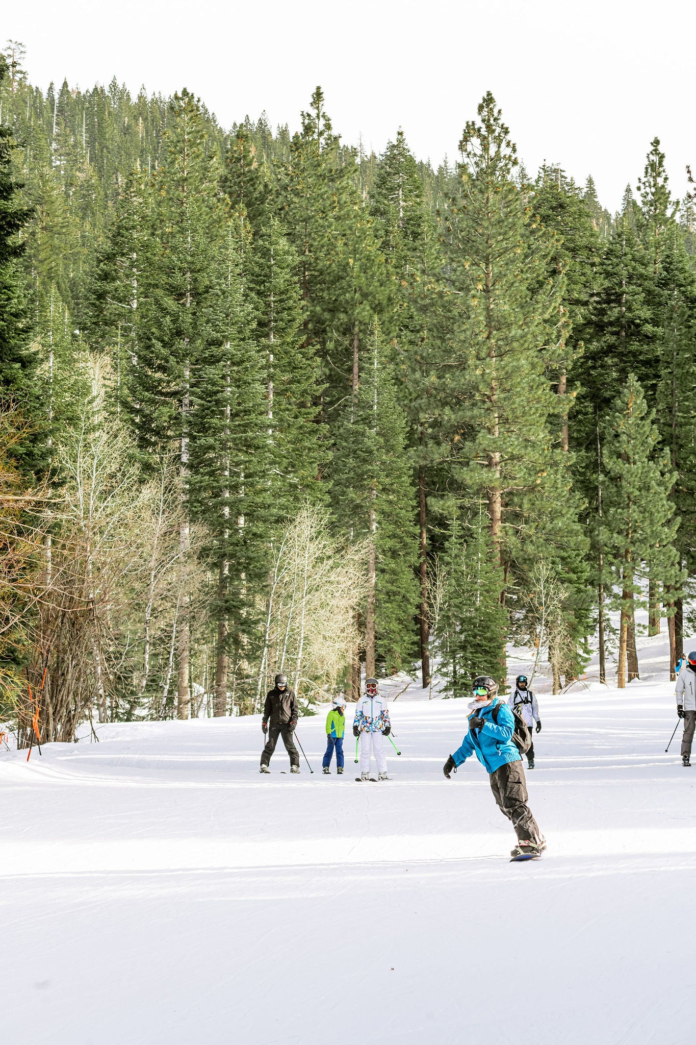 Skiiing at North Star in Lake Tahoe