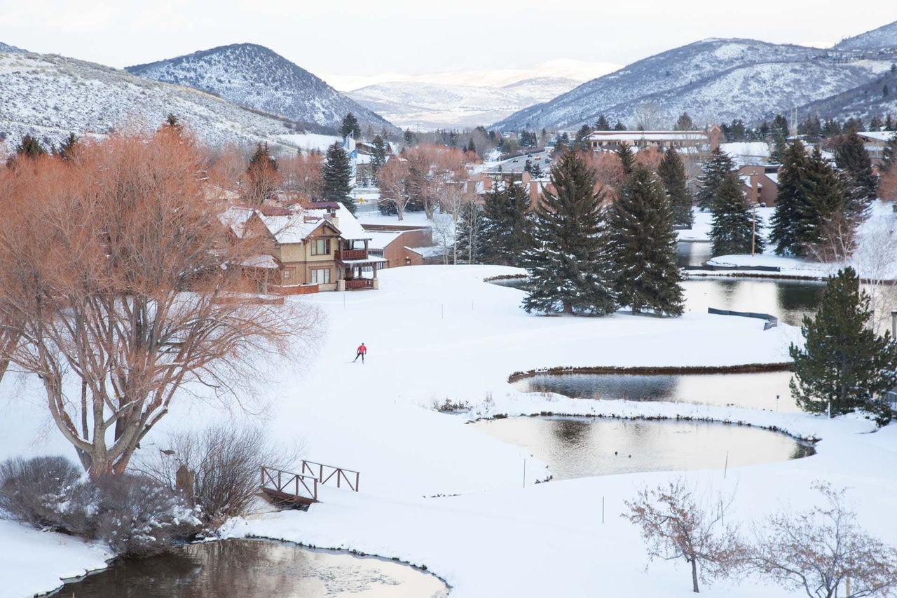 snowy landscape