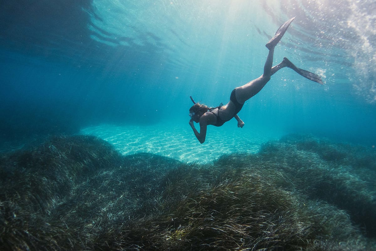 How to Go Scalloping in Cape San Blas