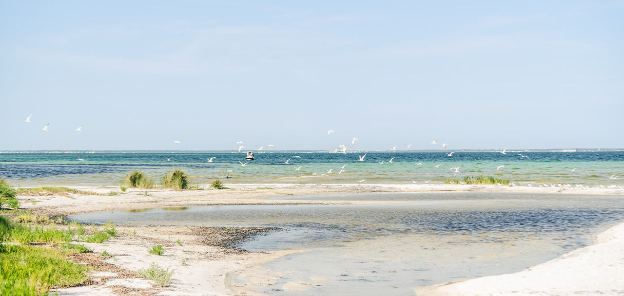 Cape San Blas, FL