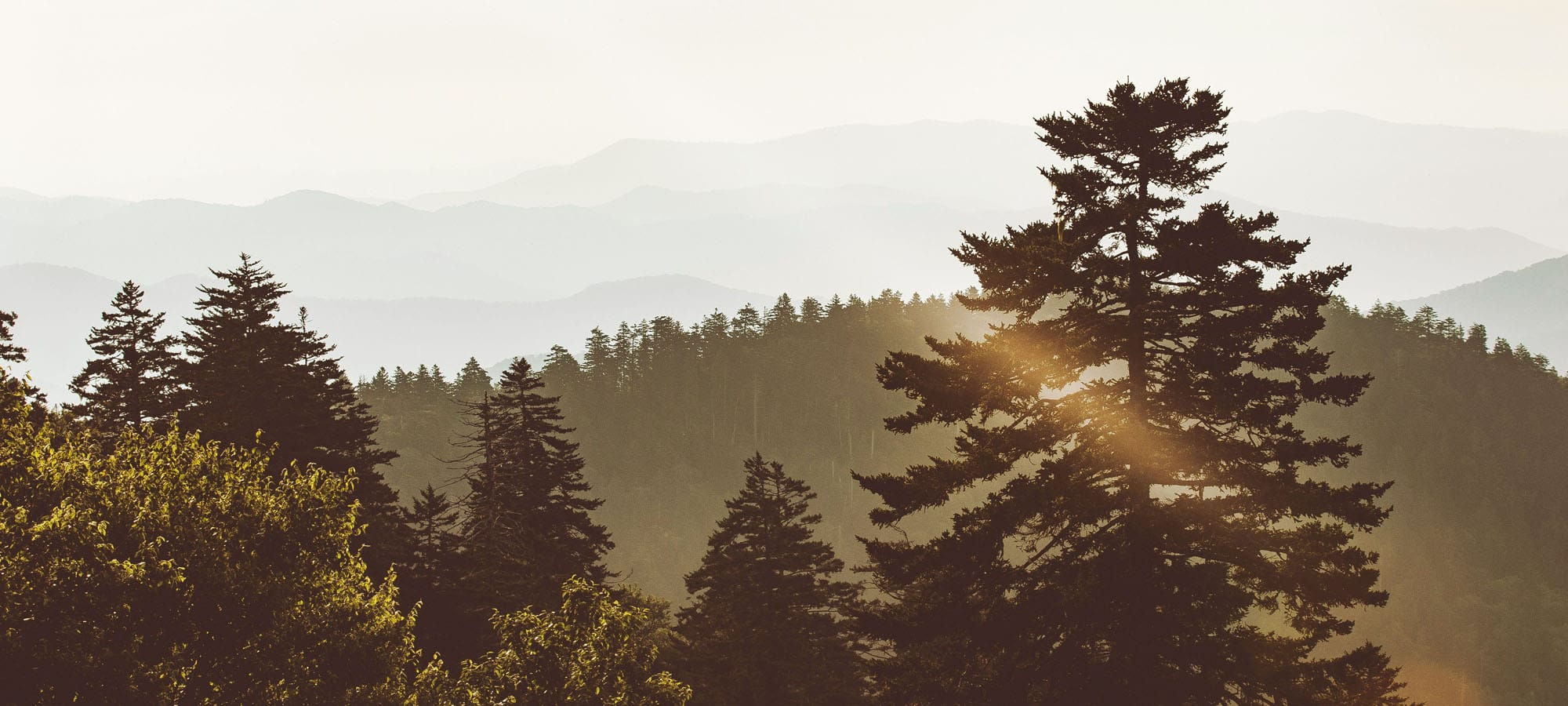 Smokies Retreat