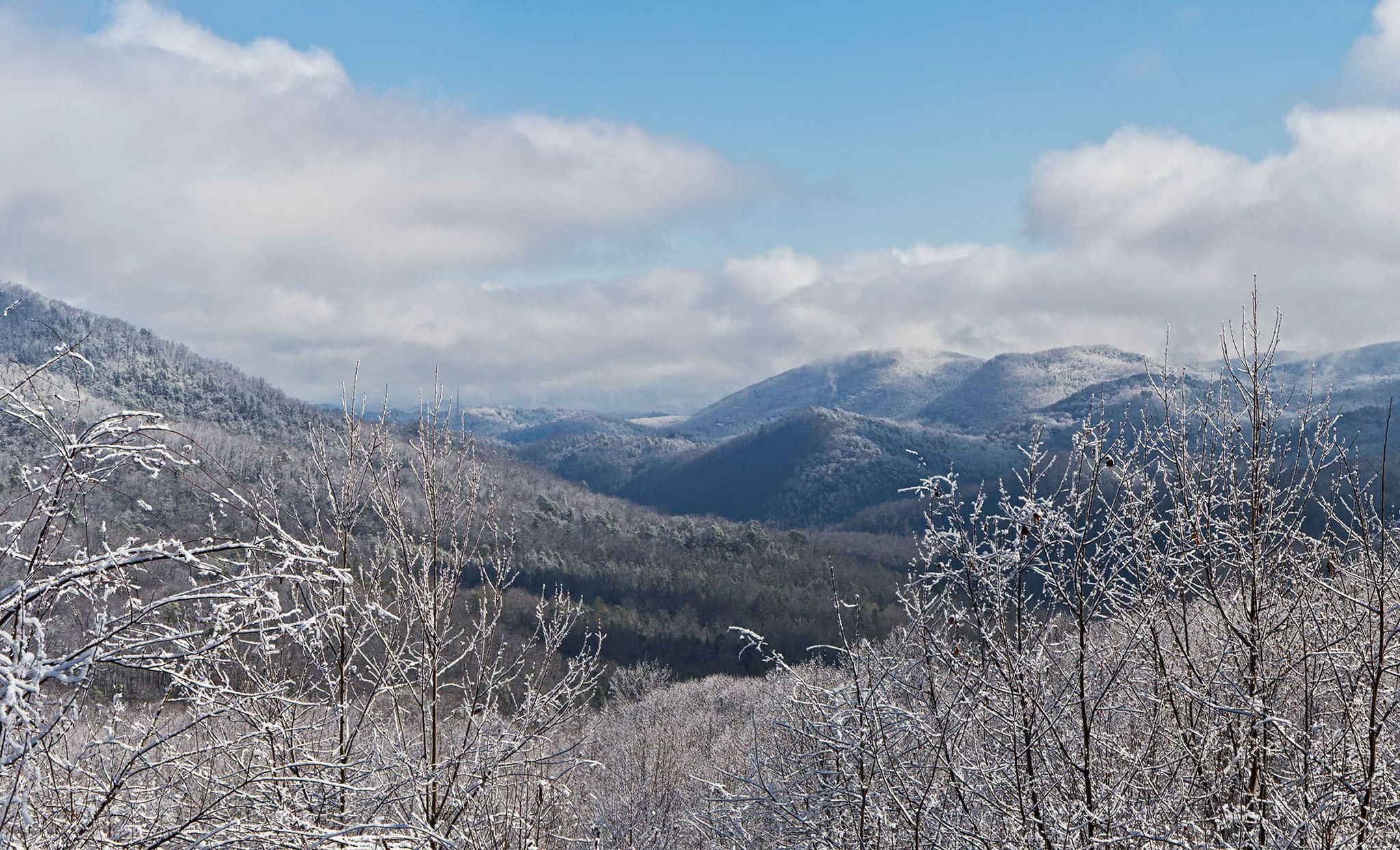 Frosty morning in the Great Smoky Mountains, Tennessee