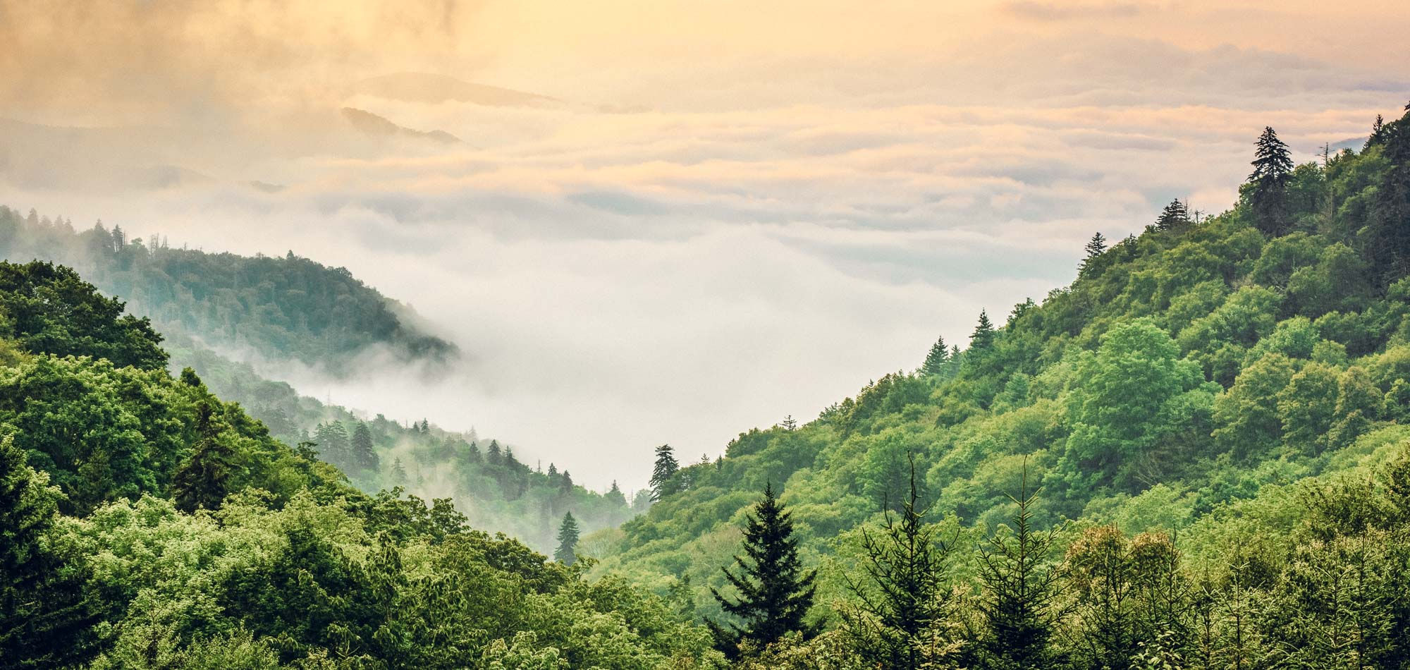 Great Smoky Mountains, Tennessee