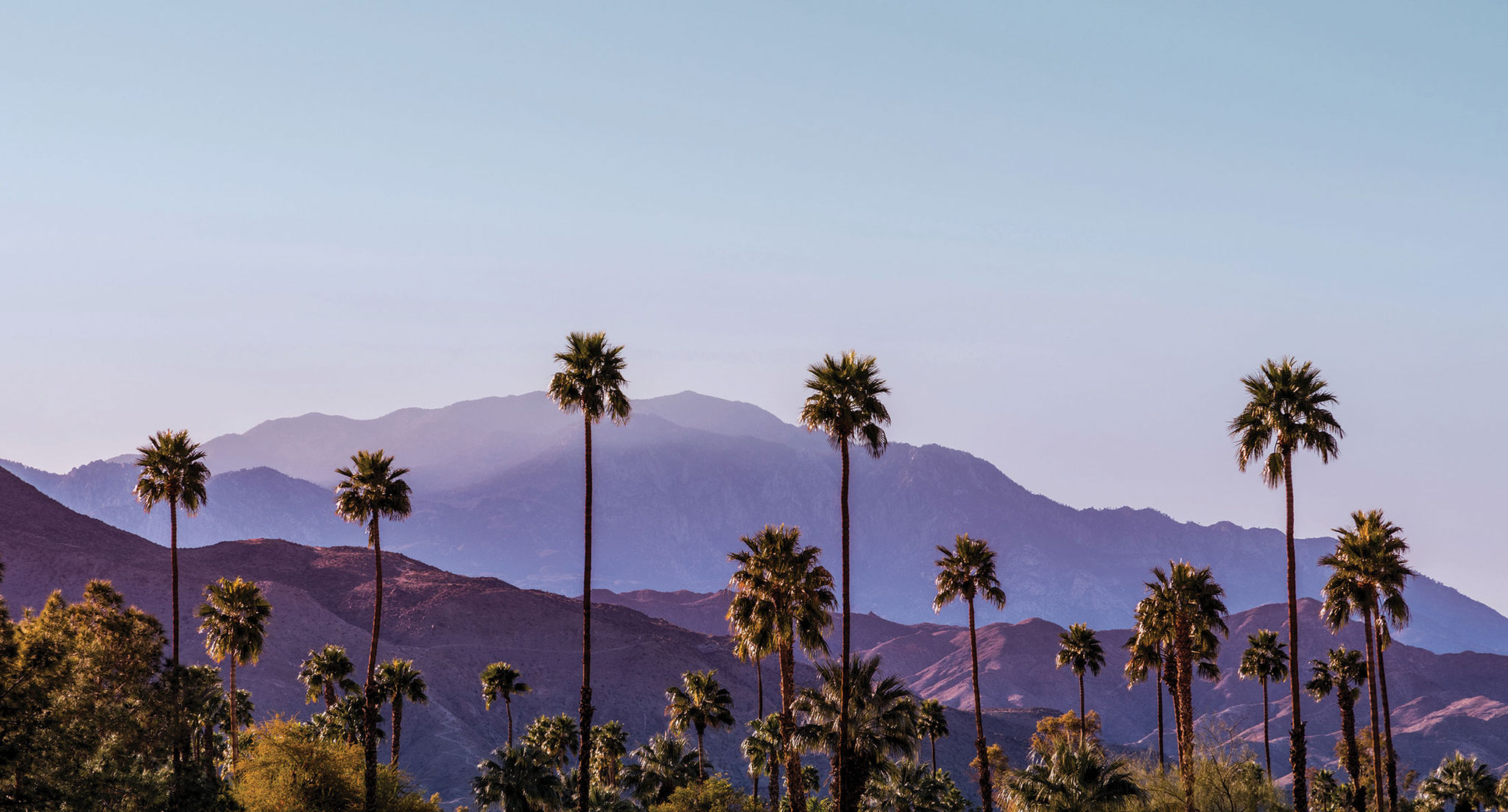 Palm Springs landscape