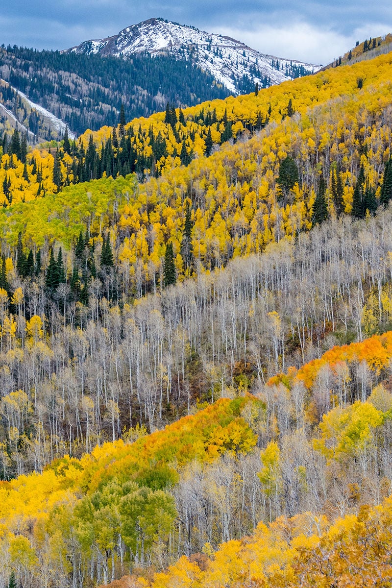 Park City