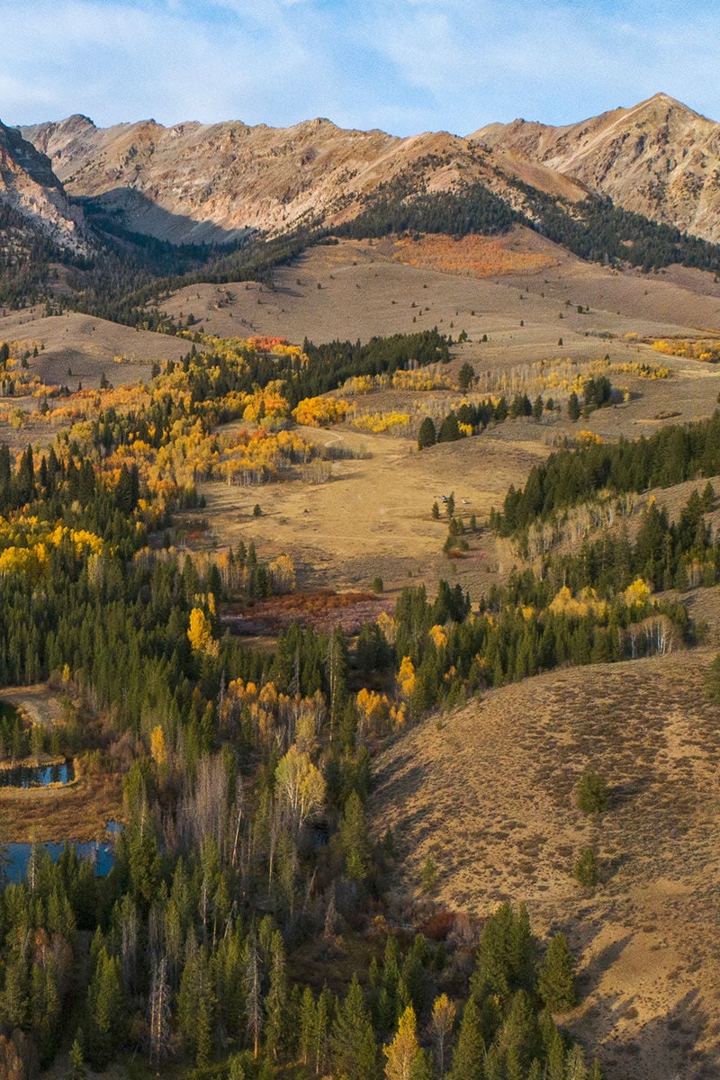 Sun Valley