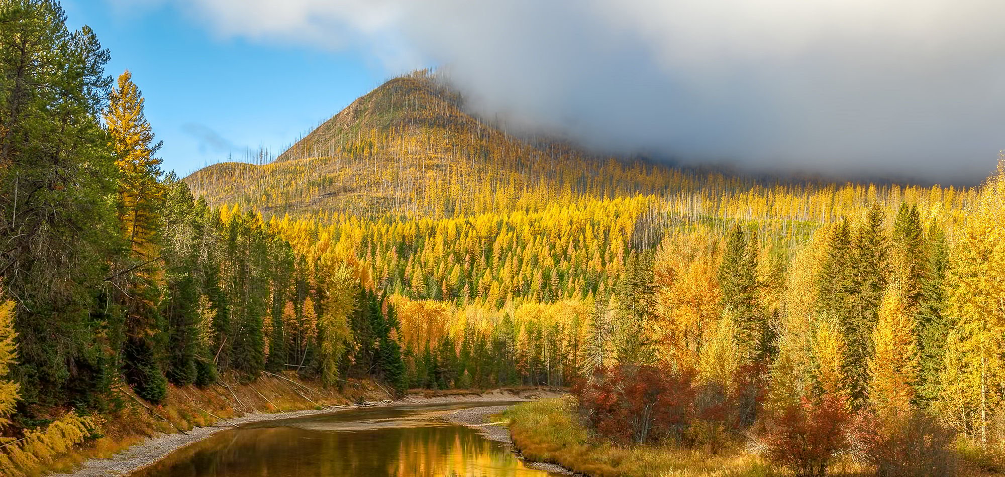 Whitefish, Montana