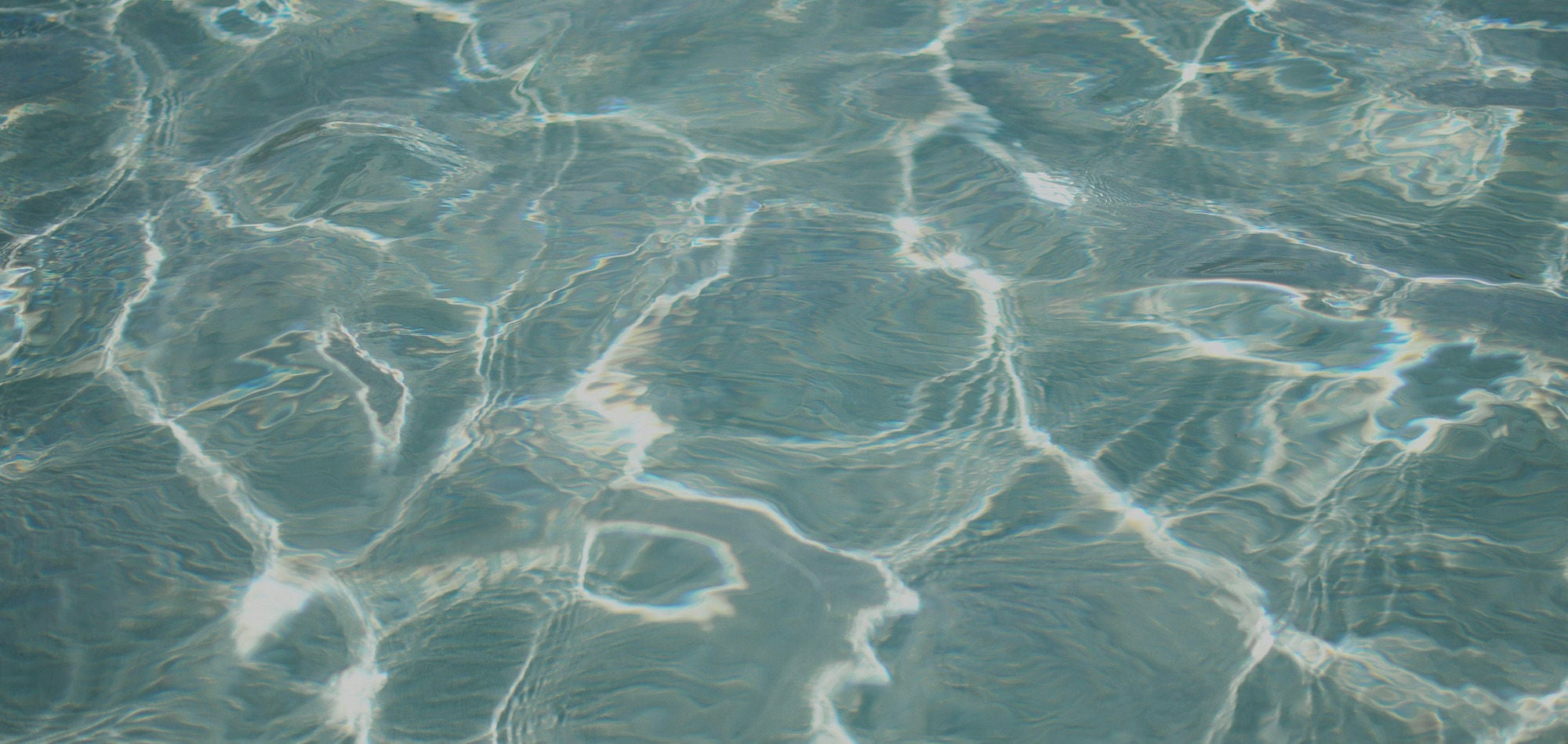 Sunny Pool In Palm Springs