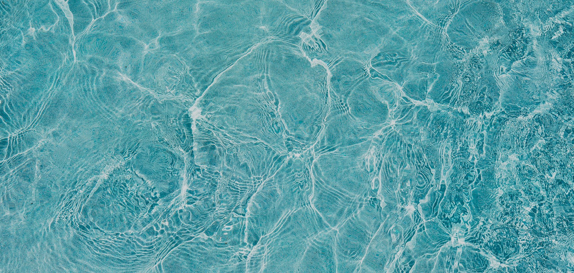 Sunny Pool In Palm Springs